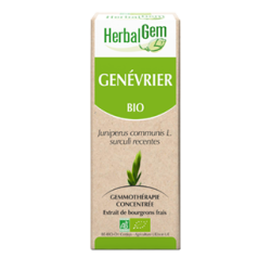 Genévrier Macérat de bourgeons Bio HerbalGem - Flacon&#