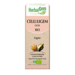 Celluligem Ligne Bio HerbalGem - Flacon de 30 mL