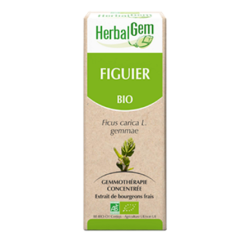 Figuier Macérat de bourgeons Bio Herbalgem - Flacon de&