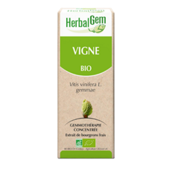 Vigne Macérat de bourgeons Bio Herbalgem - Flacon de&#x