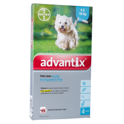 Antiparasitaire externe pour petit chien de 4-10kg Advantix 
