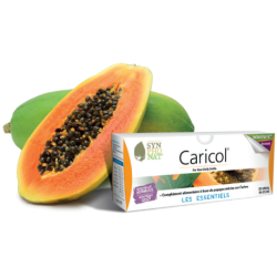 Caricol les essentiels Papaye Synphonat - 20 Sticks