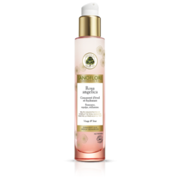 Rosa angelica Bio Concentré d'éveil ré-hydratant S