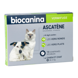 Vermifuges Ascatène Chiens et Chats de plus de 2 k