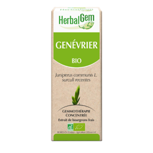 Genévrier Macérat de bourgeons Bio HerbalGem - Flacon de 30 mL