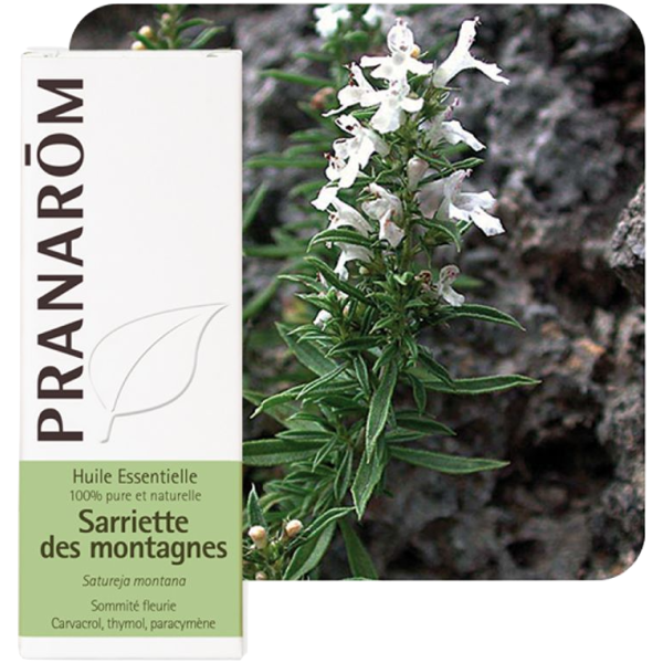 Huile Essentielle Sarriette des Montagnes Pranarôm - 5ml