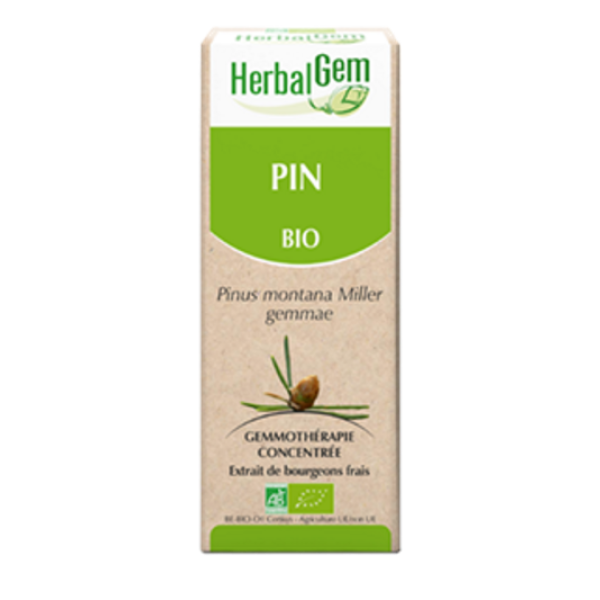 Pin Macérat de bourgeons Bio HerbalGem - Flacon de 30 mL