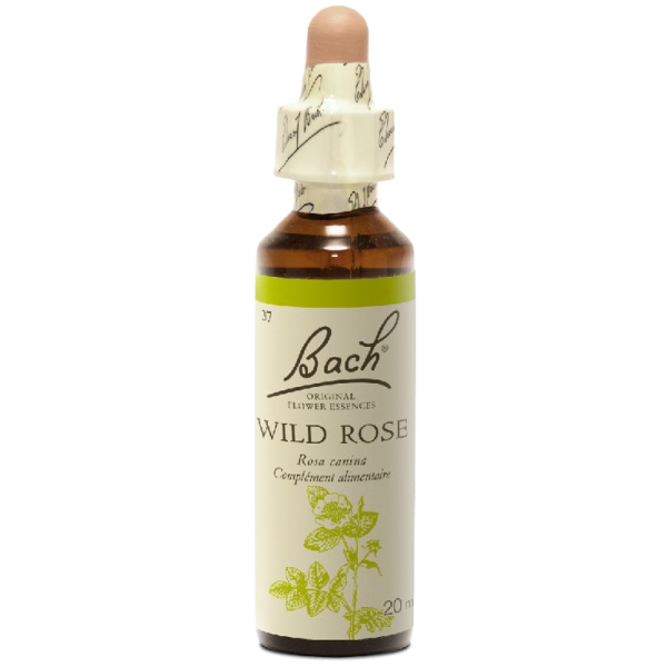 Wild Rose N°37 Fleur de Bach Original - Flacon de 20ml