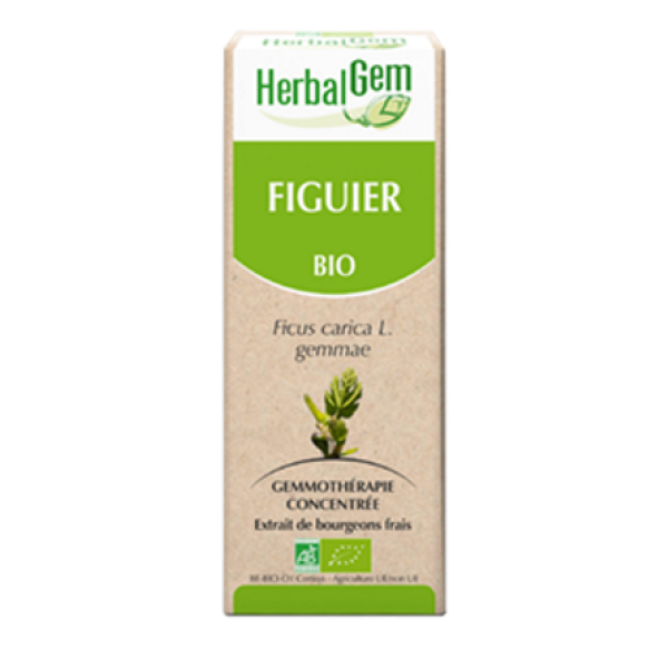 Figuier Macérat de bourgeons Bio Herbalgem - Flacon de 30 mL