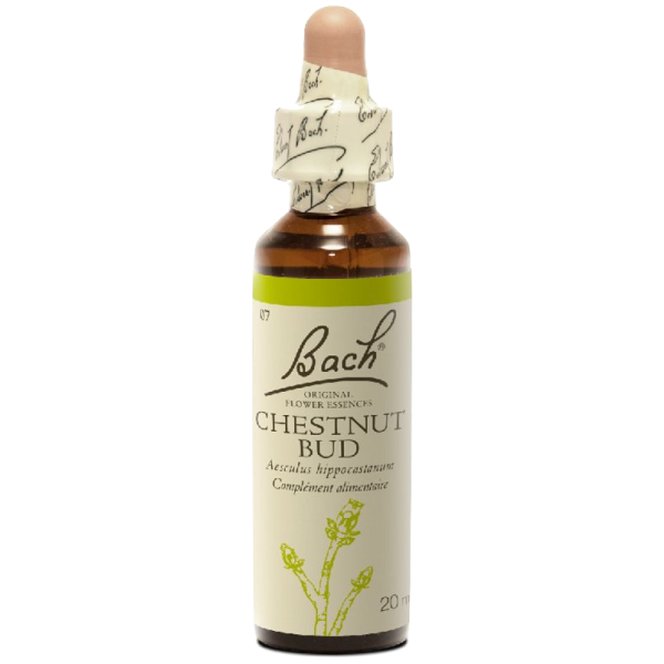 Chestnut Bud N°7 Fleur de Bach Original - Flacon de 20ml