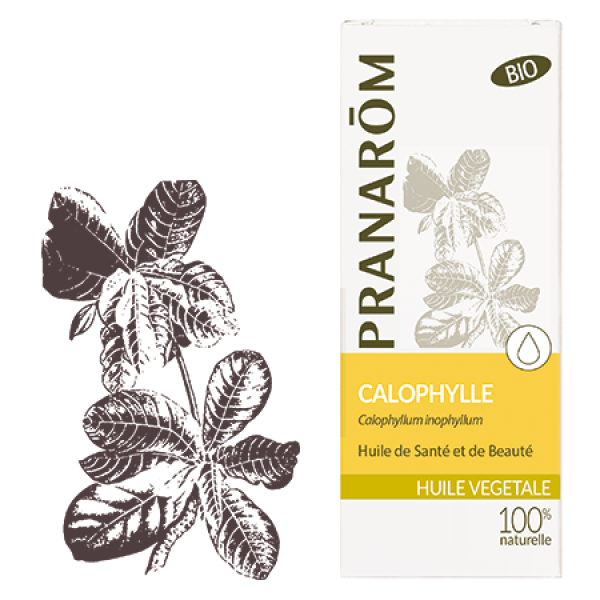 Huile Végétale Bio au Calophylle de Pranarom - 50 mL