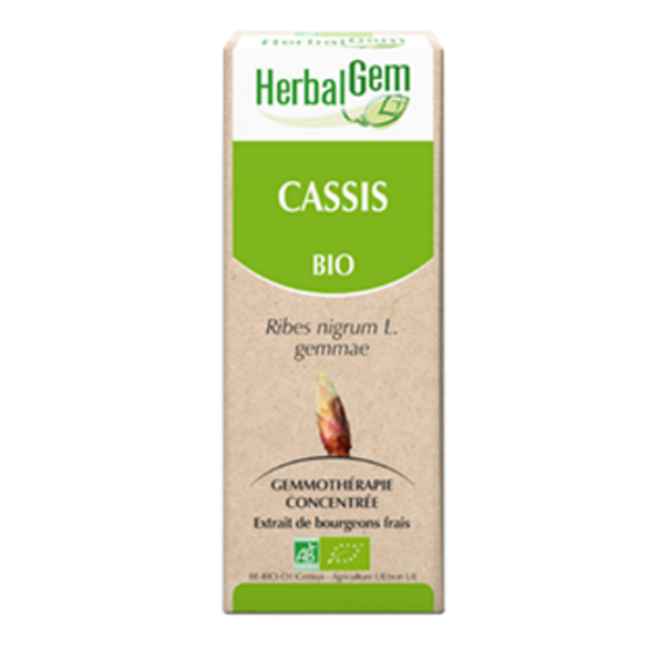 Cassis Macérat de bourgeons Bio Herbalgem - Flacon de 30 mL